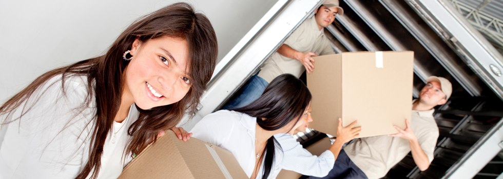Professional Removalists Princetown